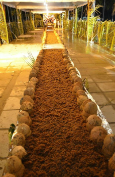 🎉 Festa da Cocada Gigante em Maracaípe: doce, cultura e alegria na orla de Ipojuca